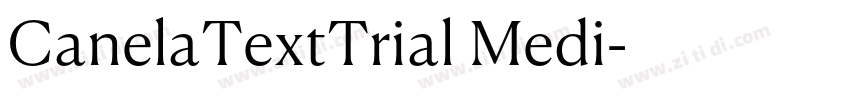 CanelaTextTrial Medi字体转换